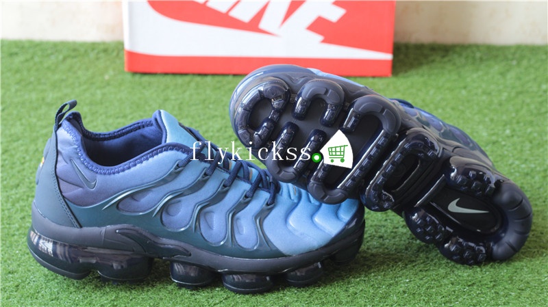 Nike Vapormax Plus Dark Blue